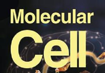 腫瘤缺氧環(huán)境促進(jìn)外泌體癌癥LncRNA高表達(dá)